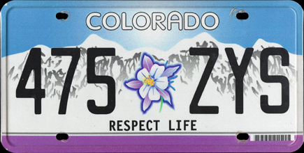 Colorado -
                  2014 Respect Life
