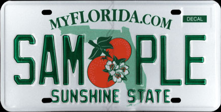 Florida - 2012
                                    Passenger Sample