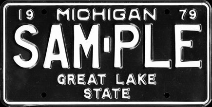 Michigan - 1979 Base Sample