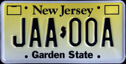 New Jersey -
                        1999 Passenger Sample