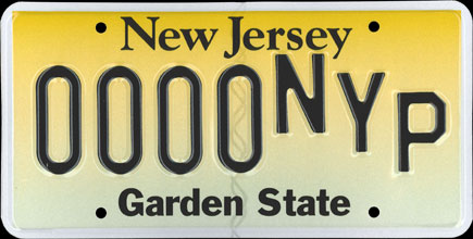 New Jersey -
                        2010 New York Press Sample